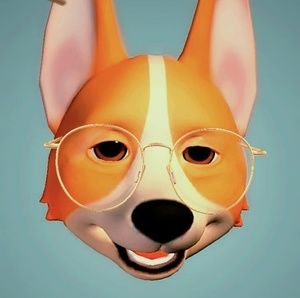 Meet your Posher, Sue